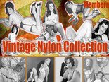 Vintage nylon, retro stokings and voila erotic lingerie - all in our huge collection
